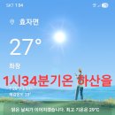 천마약초
