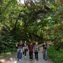 에벤에셀목장 이미지