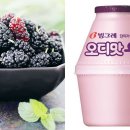 오디스토리 이미지