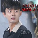 홍시언니 Daum카페