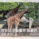 하와이 여행 가볼만한곳 호놀룰루 동물원 방문 후기