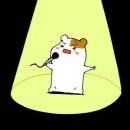 딩 딩