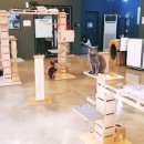 뱅갈온니 이미지