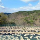 창정농장 이미지