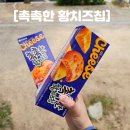 세븐일레븐 안동강남점 | 촉촉한 황치즈칩 재입고 파는곳 맛 솔직후기