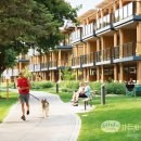 호숫가 포도밭의 즐거운 삶 속으로 이미지