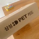 아이디펫 동물병원 이미지