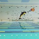 송악문화스포츠센터 수영장 | 충남 당진시 송악읍 송악문화스포츠센터 수영장 자유수영