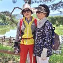 장자호수길 이미지