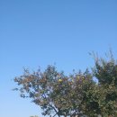 모과민박