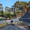 차니네민박 | [여름휴가] 가족과 함께 2박3일 안면도 완전해부 ; 숙박부터 놀거리까지