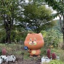 호랑이 | [경북 봉화] 국립백두대간수목원 / 봉자페스티벌 무료입장 후기 호랑이관람