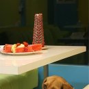 애개 하우스 이미지