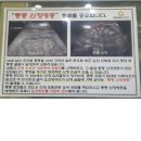 류마신백내과의원 이미지