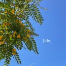 구암동390 | [공지] [창원꽃집/팔용동꽃집] 꽃 좋아하시는 창원 블로거분들을 찾습니다 !(마감)