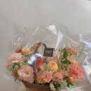 아레스&마셀 이미지
