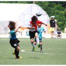 이천초등학교 이미지