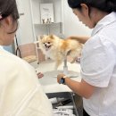 멍클스튜디오 이미지