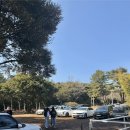 제주 서귀포 카페 대한목장｜말 있는 이색 카페 후기 (한라산 뷰)