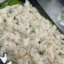 천하수산 | [주월동] 백운동 진월동 하모회 추천 천하수산 해산물 후기