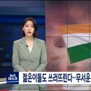 바이러스피시방 이미지