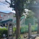 성삼공원 이미지