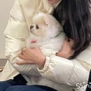 NR-4[계백로]-하-487 | 2023년 11월 일기