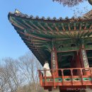 [국내여행] 1박2일 | 전라북도 전주시 ⓛ 금암면옥, 전주한옥마을, 일상애, 길거리야, 진미집