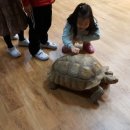 늘품자연유치원 이미지