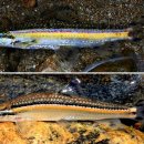 소백환경 이미지