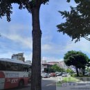 가야1동-13 이미지