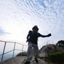 플루토 | 접지력 좋은 발 편한 남자 등산화 알타이기어 플루토 추천 후기