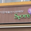 세상에서가장아름다운나무 이미지