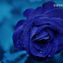 아하브요양병원 이미지