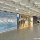 자라호텔평화광장점 이미지