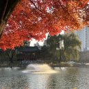 중리천로113번길 이미지