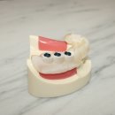 다온치과의원 이미지