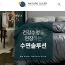 네이처슬립 - 제주시 연신로 74 | 자연과 연결된 잠 네이처 슬립 사용 후기