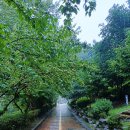 인창중앙공원(산책로) 이미지