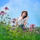 수성랜드 이미지