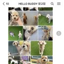 헬로우버디 광교점 이미지