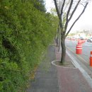 고양한내초등학교 이미지