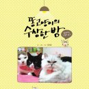 낄낄고양이 이미지