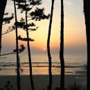 밧개오션텔