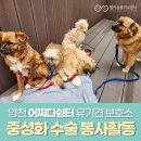 영천동물병원 이미지