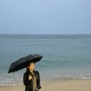 감나무집 민박 이미지