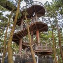 장항종로약국 이미지