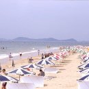 대천해수욕장 이미지