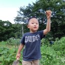 다우 농장 이미지