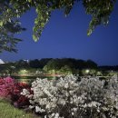 스마일꽈배기 울진점 이미지